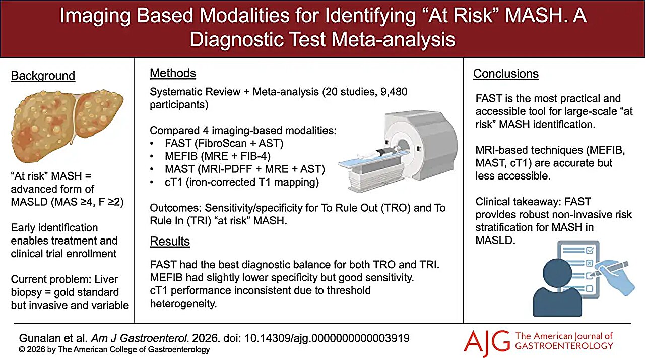 Imaging-based modalities compared for identifying at-risk MASH