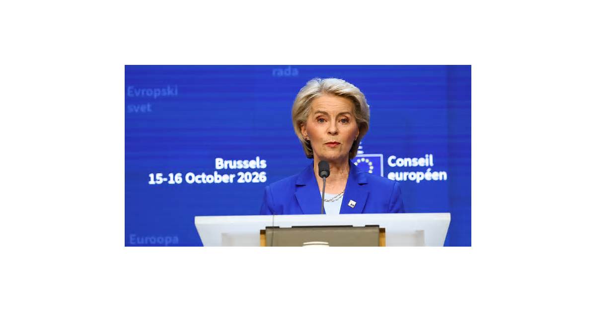 EU to propose import curbs on other Chinese sectors, says EU chief