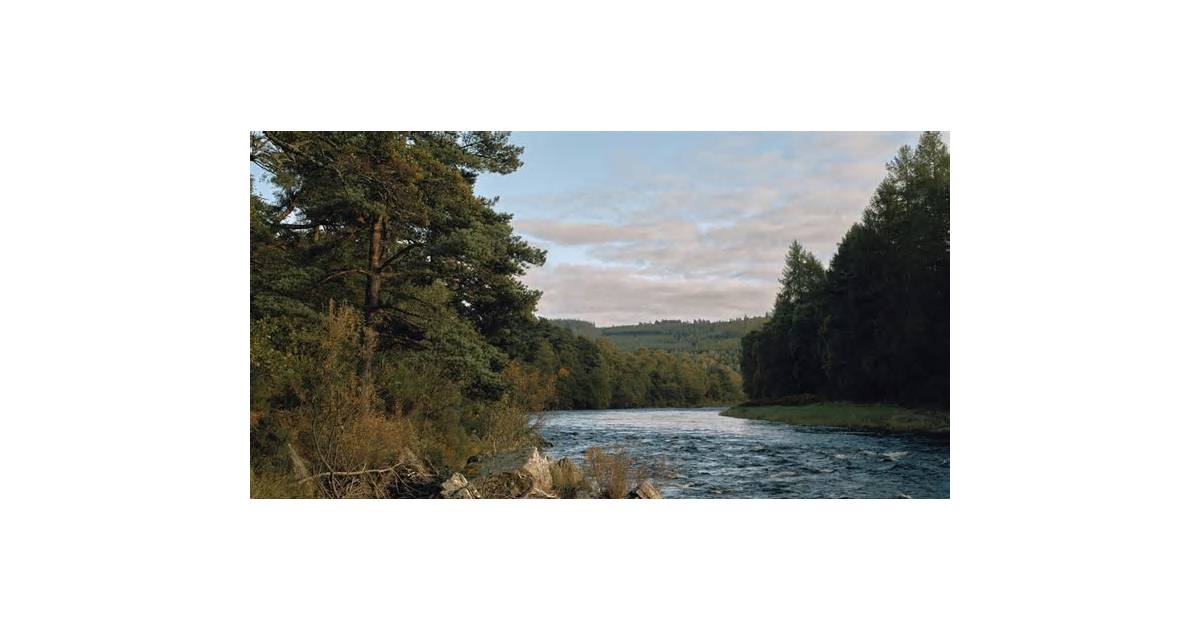 Diageo’s Toxic Spill Hits a Pristine River in Scottish Whisky Country