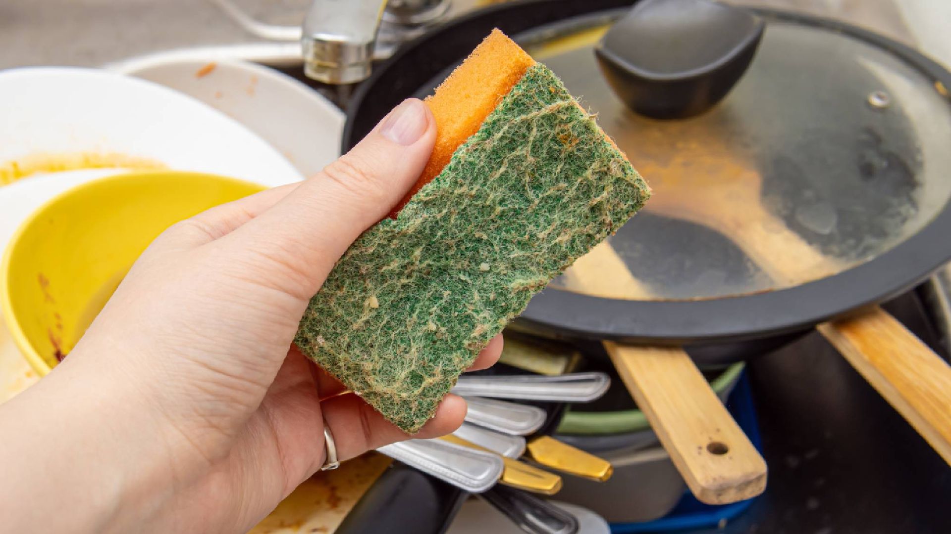 Knowing how to use a kitchen sponge seems idiot-proof, but most of us are still doing it wrong