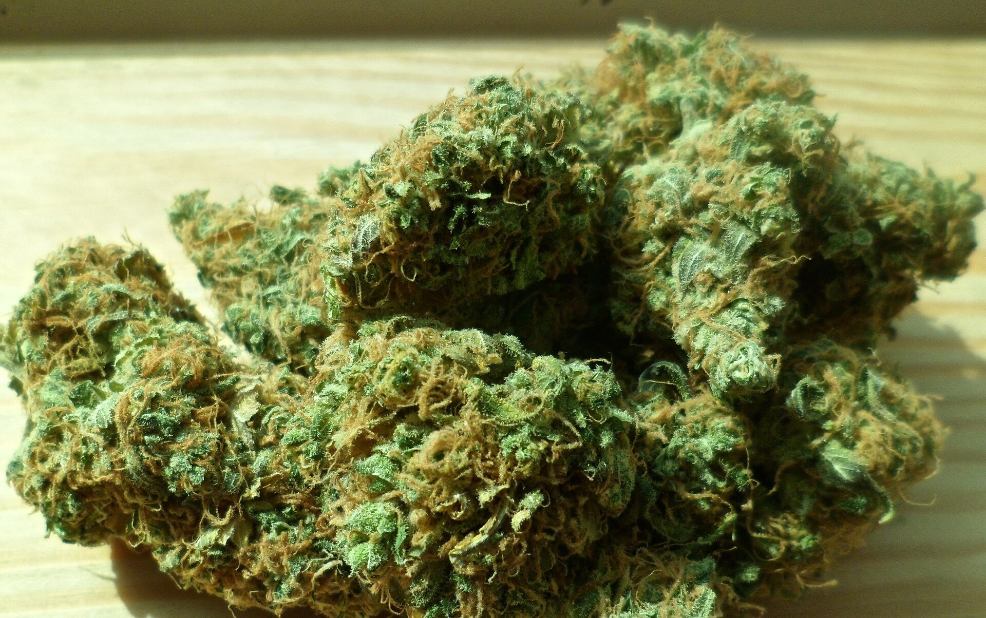 Cannabis doesn't make you violent—despite what recent reports have claimed