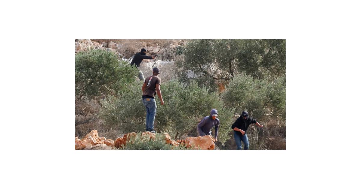 Israeli settlers attack Palestinians, European diplomats in West Bank, Belgium says