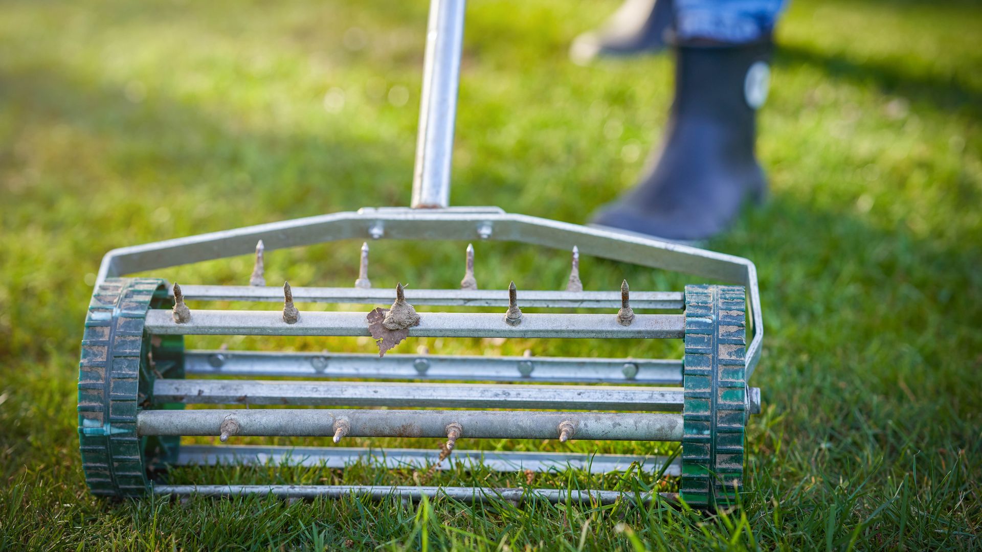 Can I aerate a wet lawn? Here’s what a grass expert says