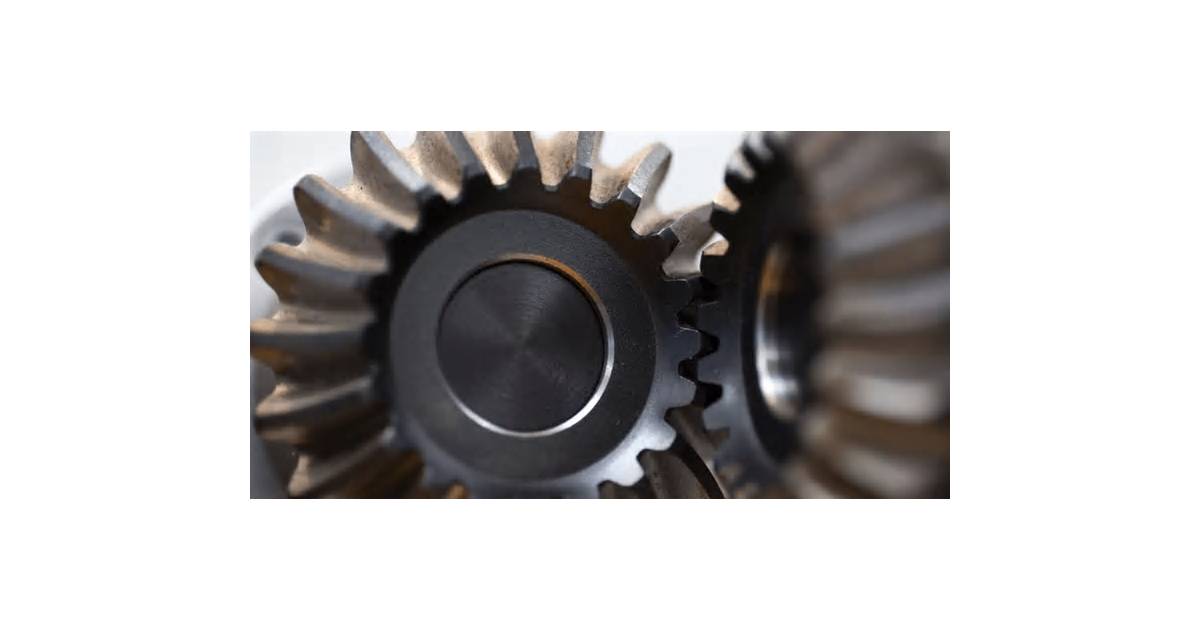 Which portfolio assumptions should investors question?
