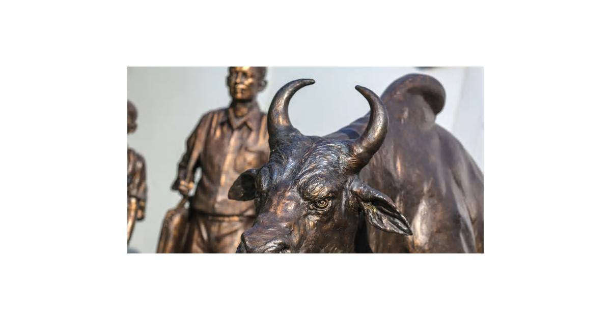 U-Turn From Regulator May Be New Lifeline to Indian Derivatives
