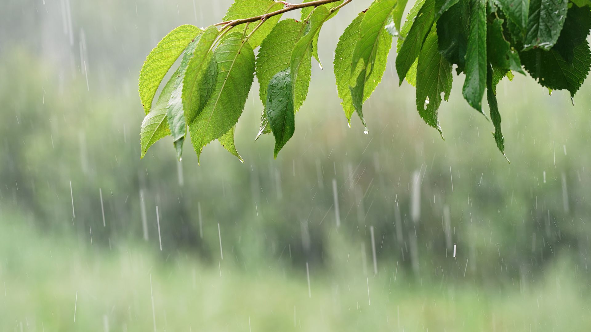 The 5-minute fall flood check every homeowner needs right now