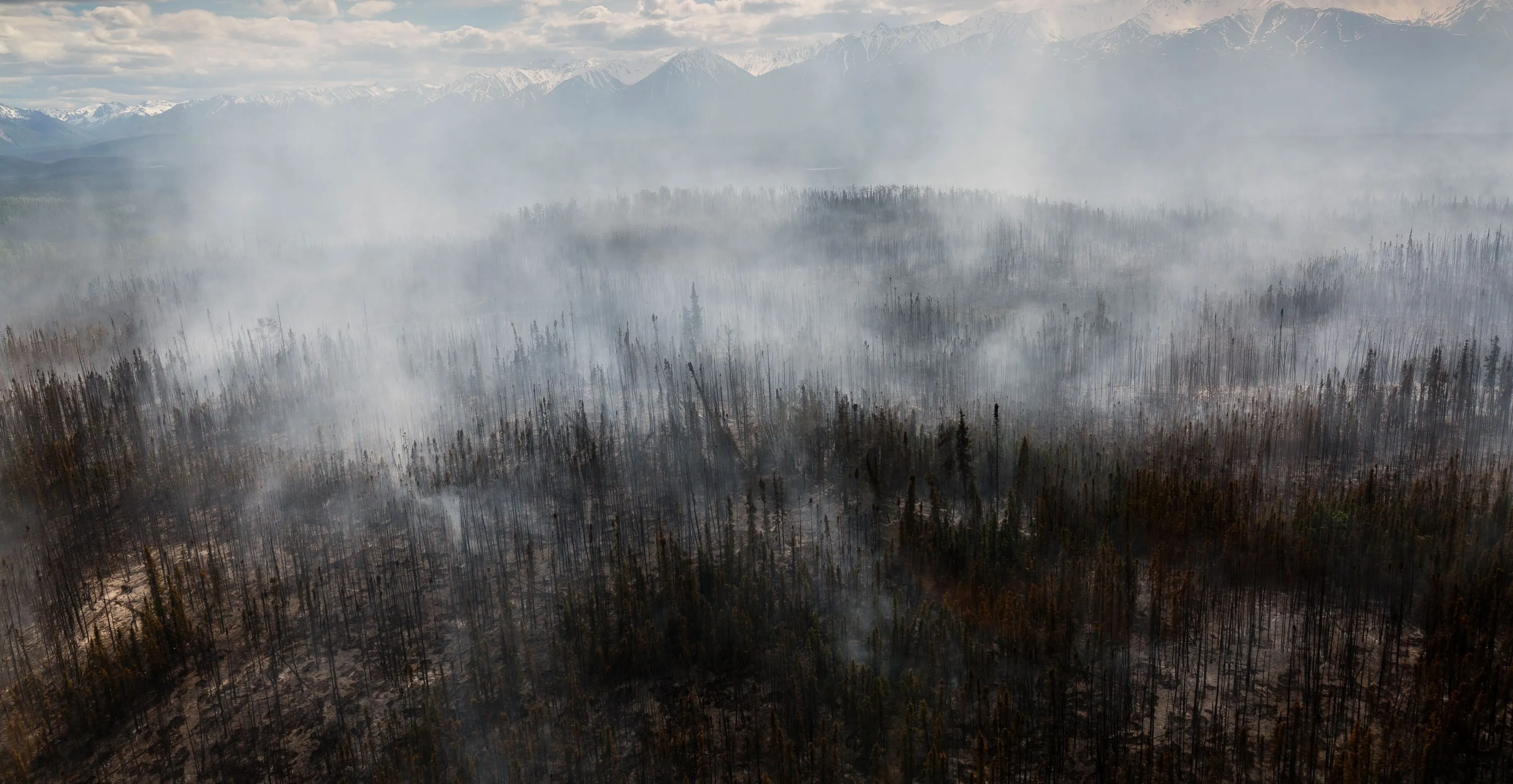 Inside the quest to combat Arctic fires and save the planet’s frozen carbon