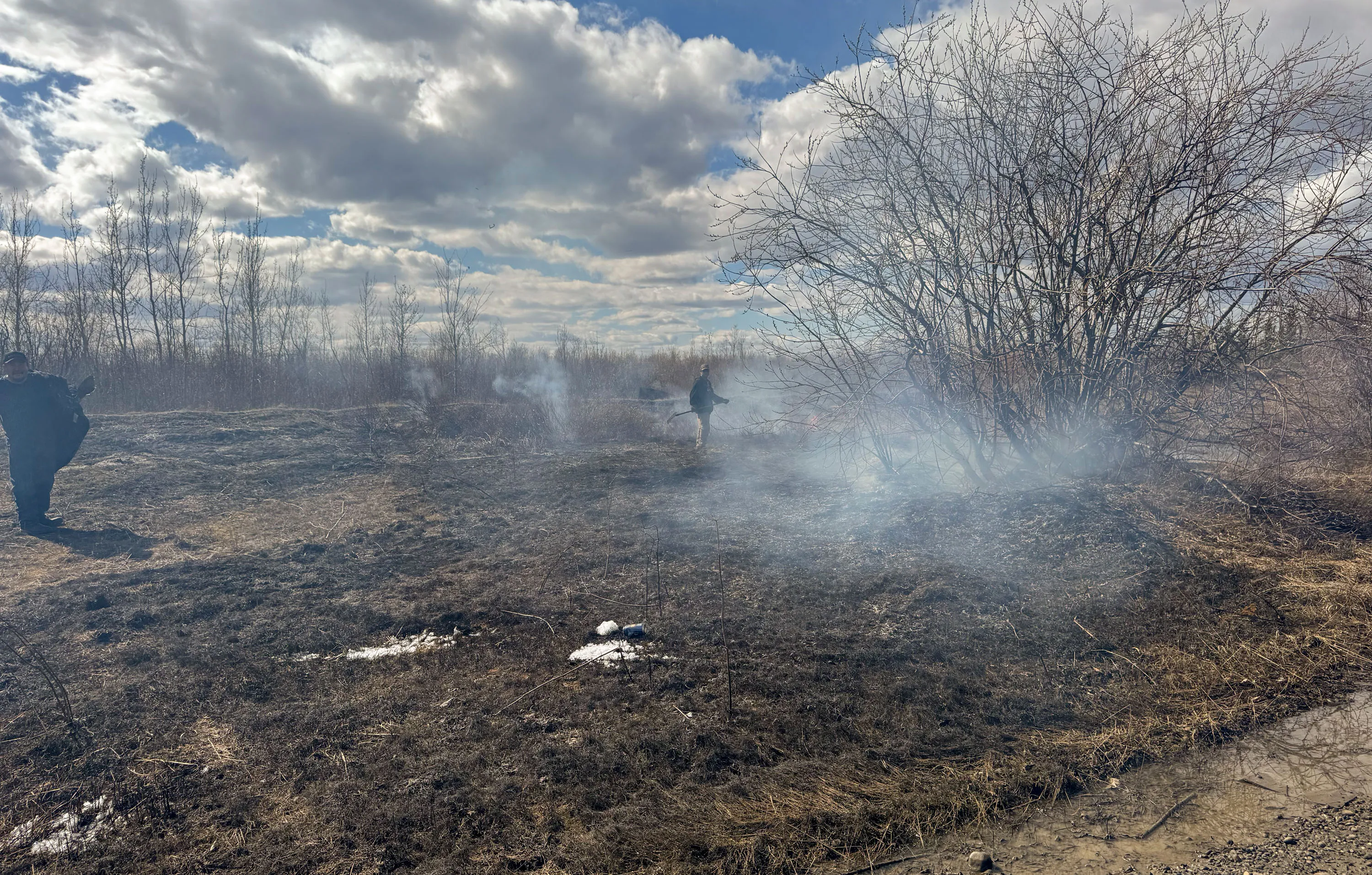 The Download: preserving the Arctic permafrost, and playful AI agents