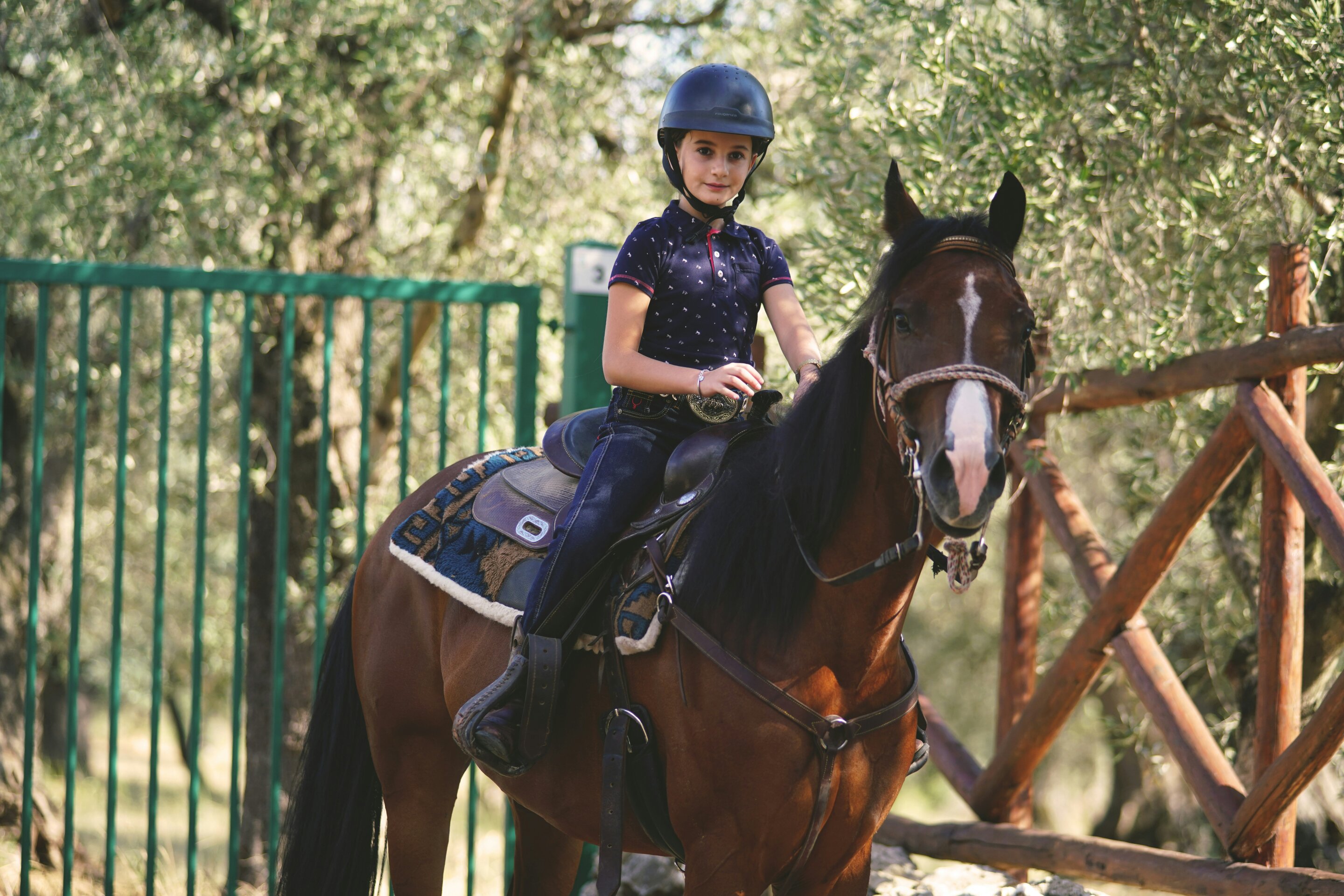 Horse-assisted therapy linked to lower stress in children with autism, study finds