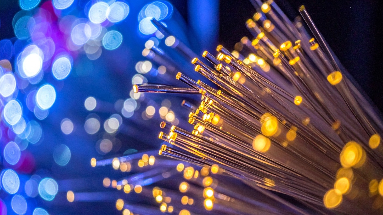 Fiber vs. cable internet: What's the difference between them?