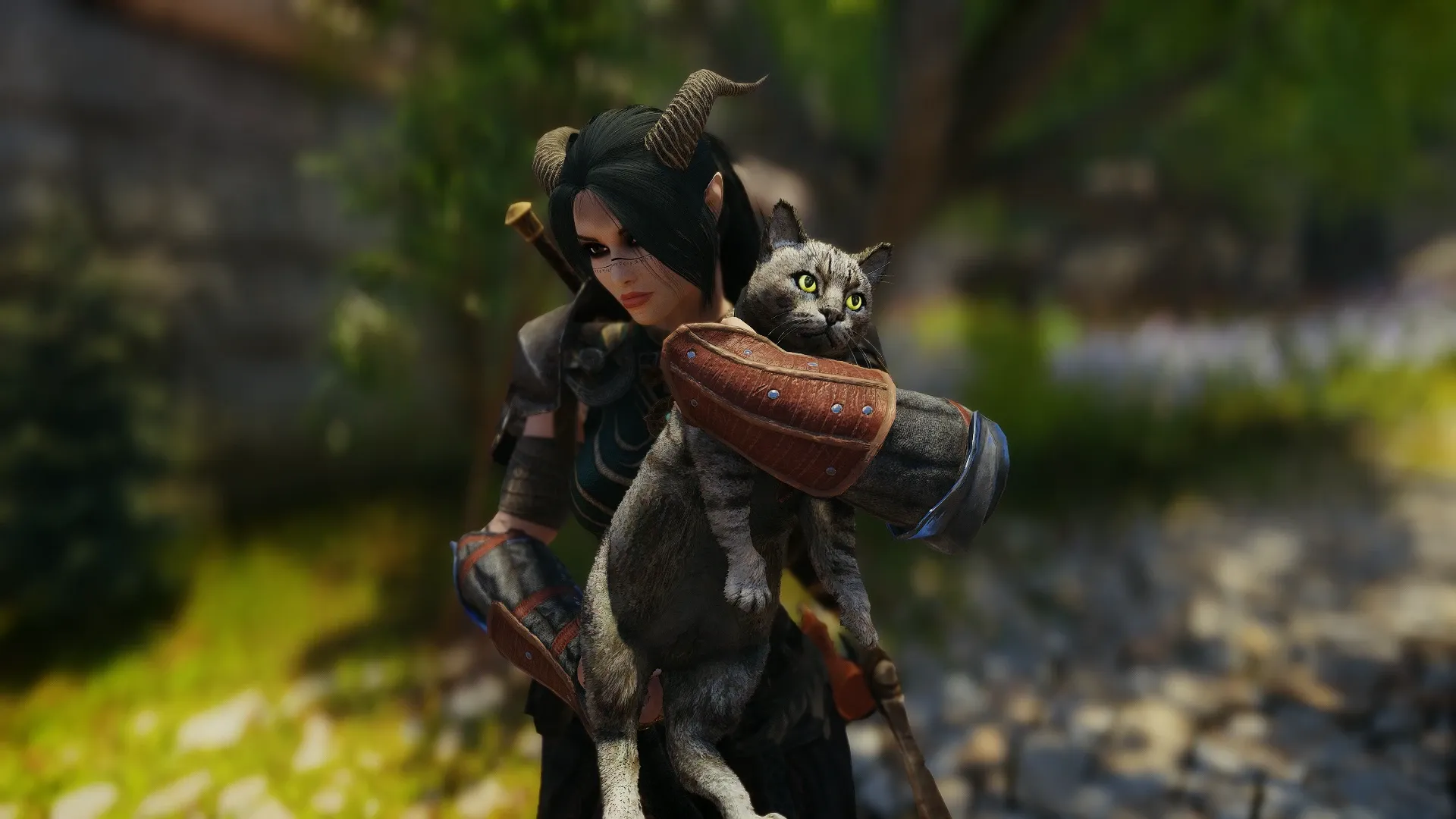 Skyrim Can Now Be Beaten While Carrying A Cat Around