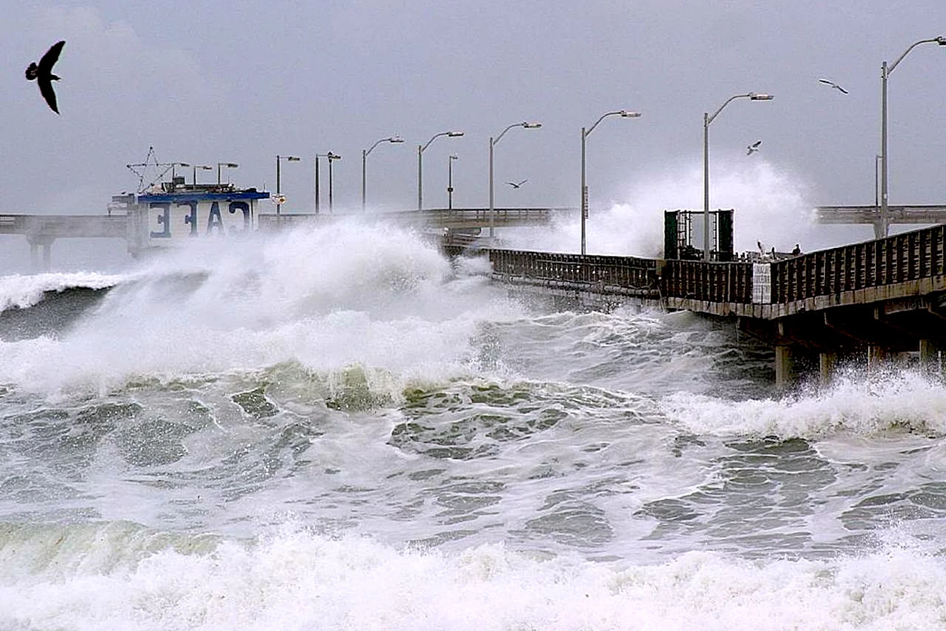 El Niño Has Already Risen Some Pacific Region Sea Levels by Over 1 Foot