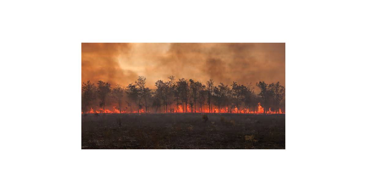 Giant ‘heat storms’ are scorching the Earth. This is the story of the biggest one on record.