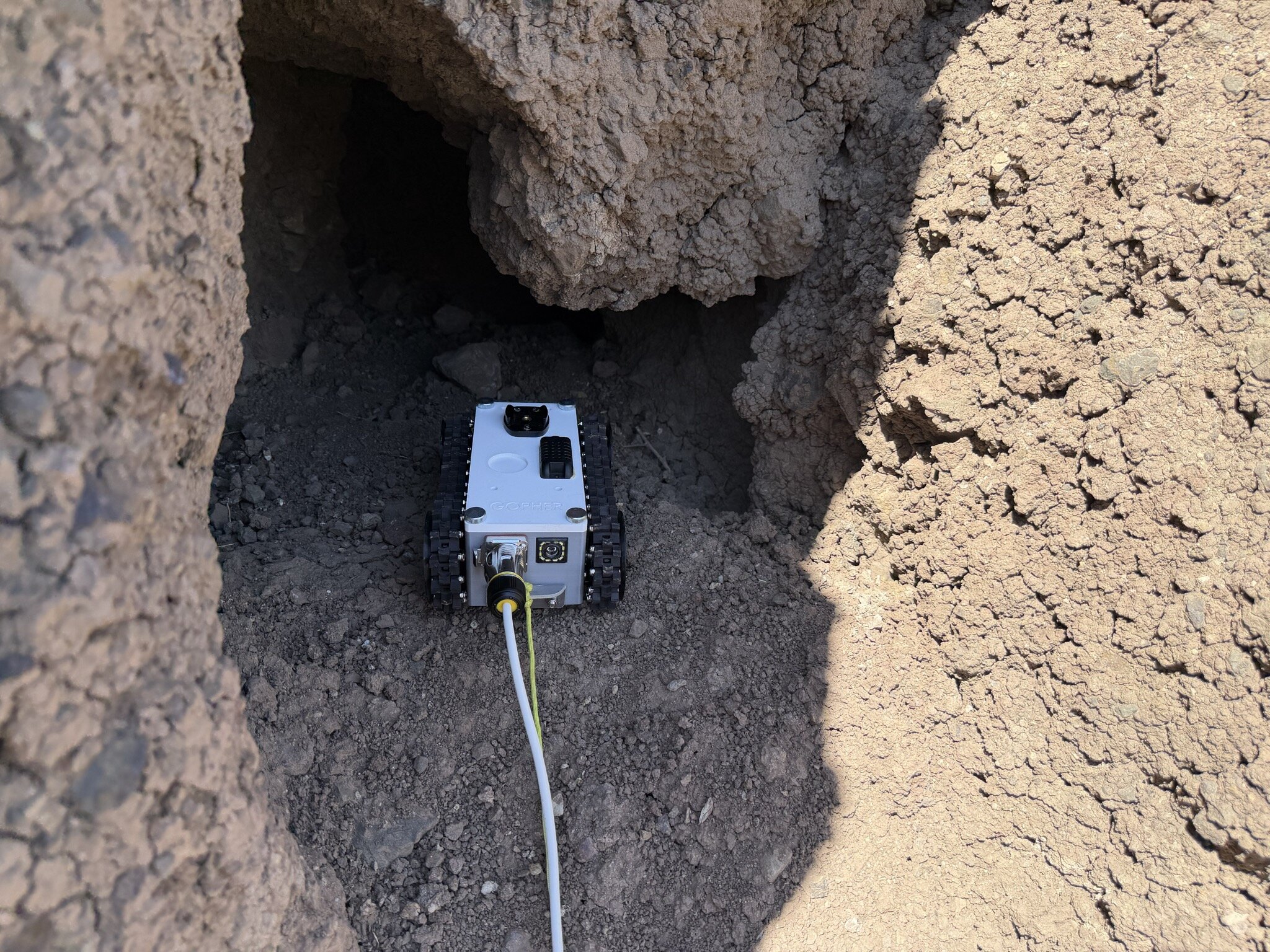 From wombat burrows to Noah's Ark: Robot joins search