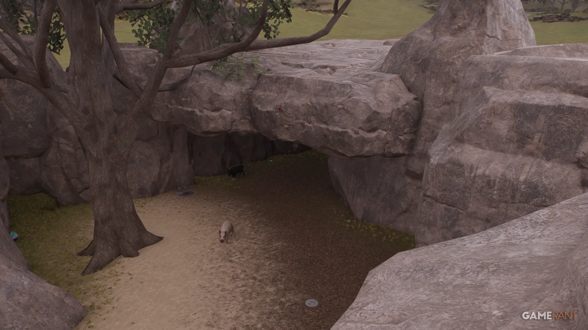 How to Get Shelter Space in Planet Zoo 2