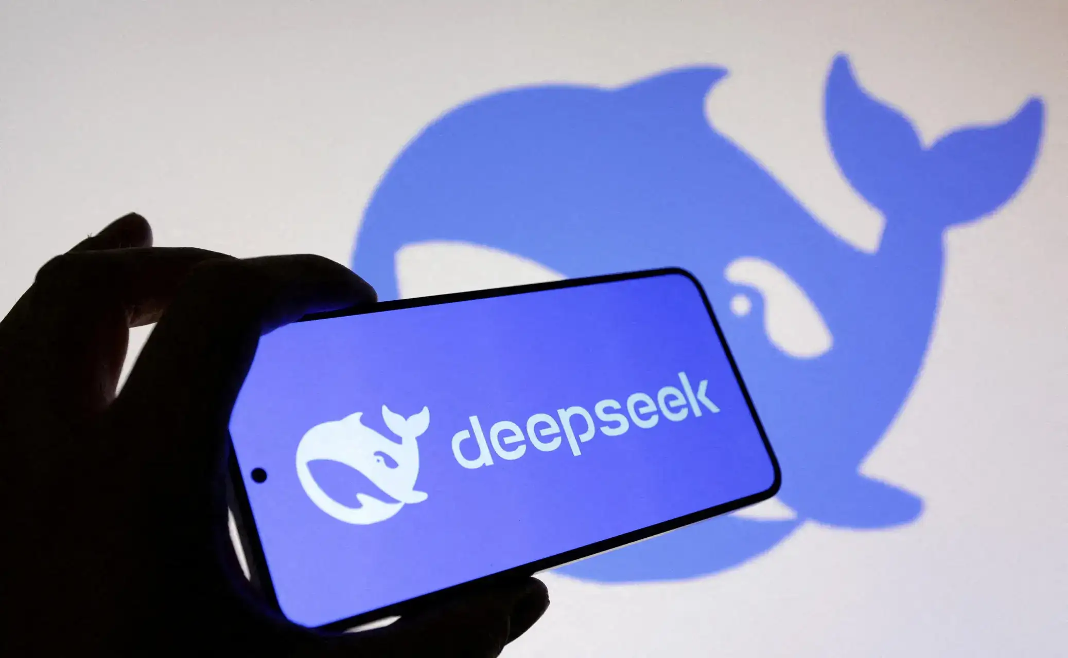 After US DeepSeek order, China says it will protect firms