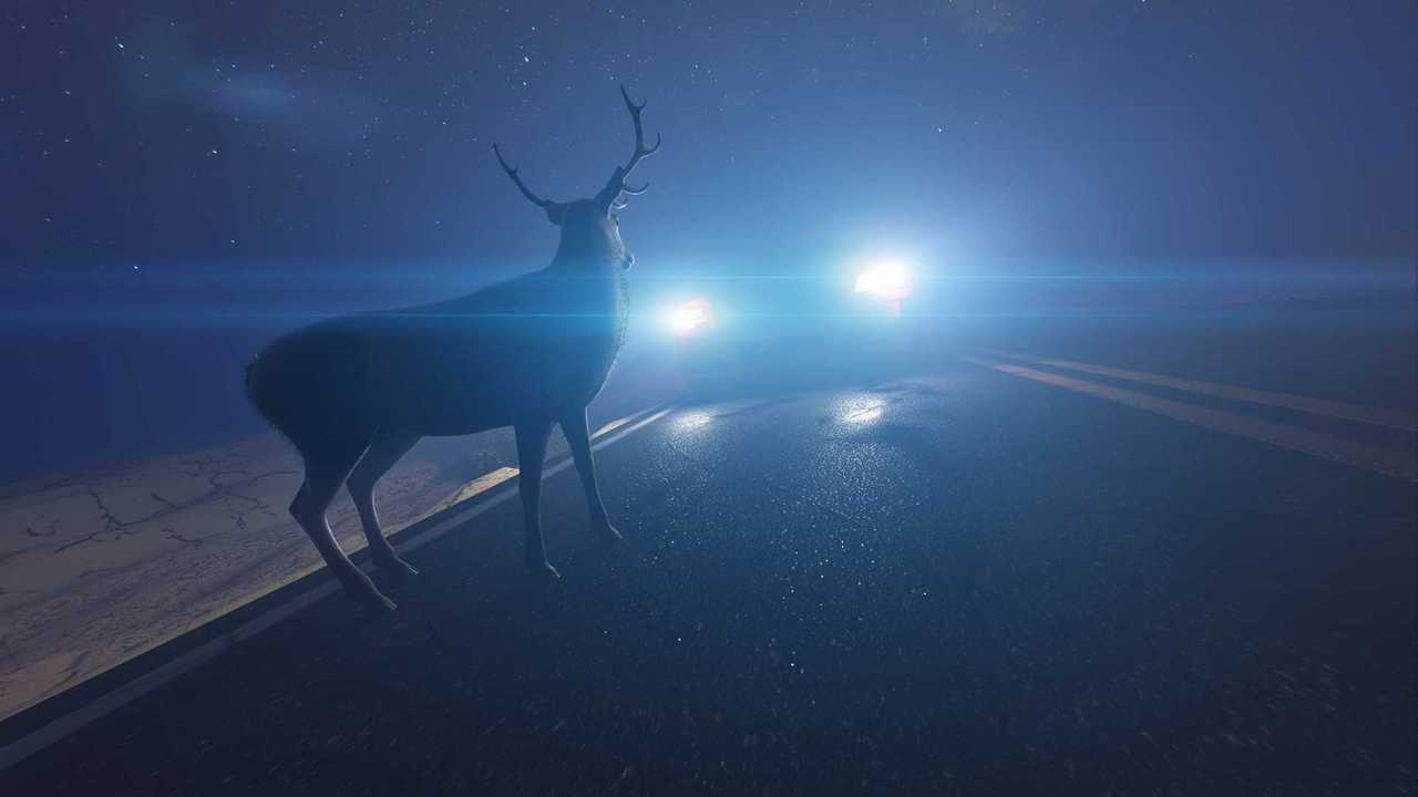 Animals Are Involved In More Than 350,000 Crashes A Year In The US