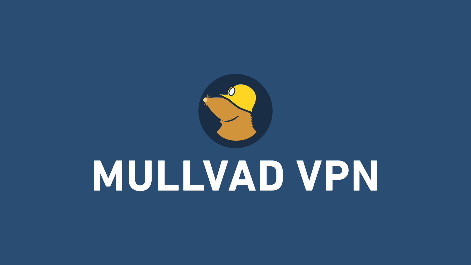 Mullvad VPN Review 2026: Still Tops for Privacy, Still Budget-Friendly