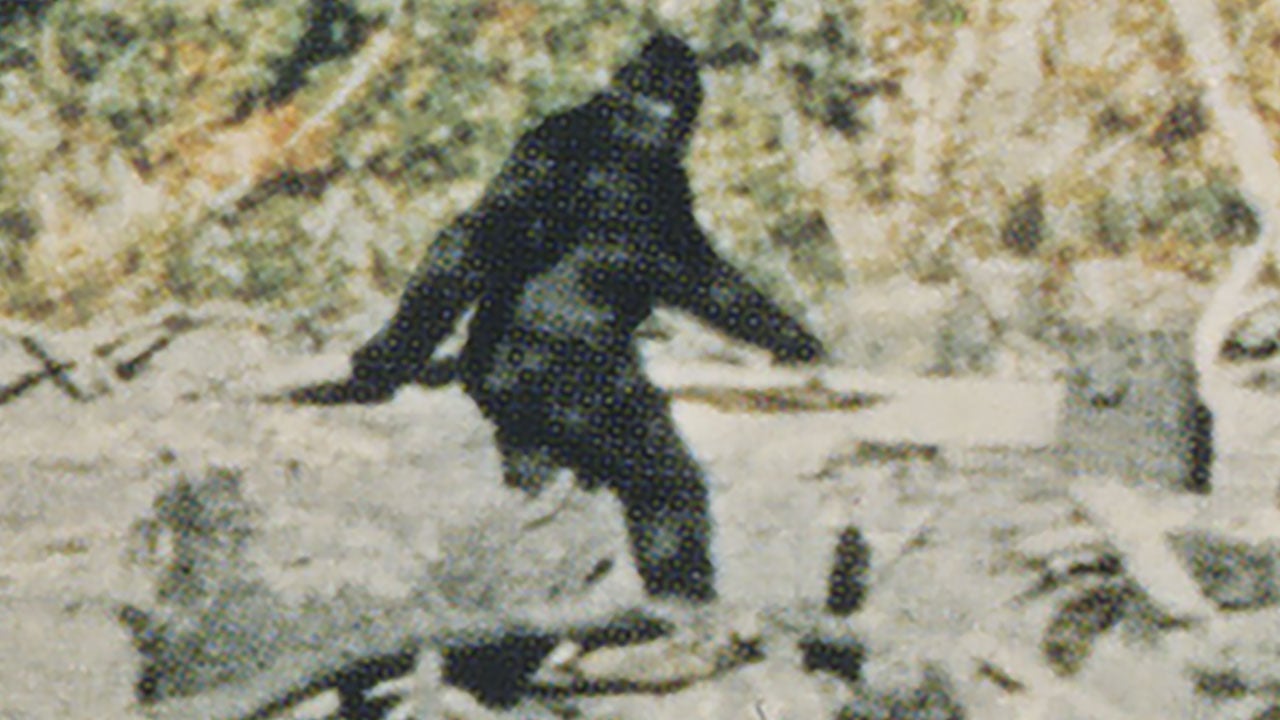 Capturing Bigfoot Review