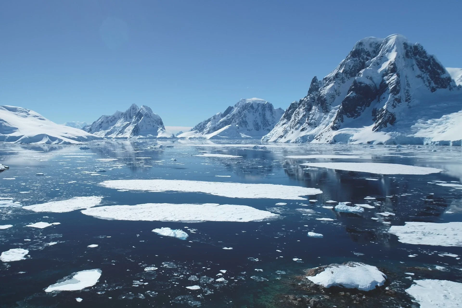 Arctic Sea Ice Loss Could Be Far Worse Than Models Predict
