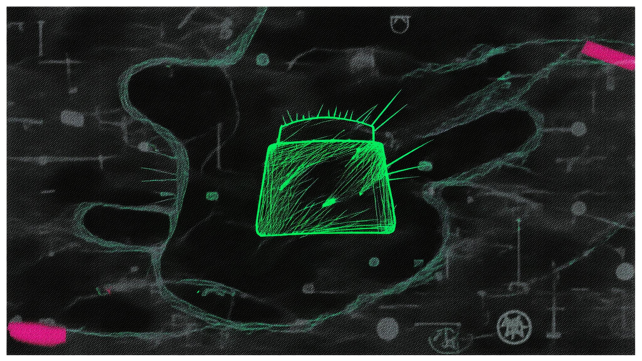 Starknet Foundation Launches Bramble Wallet With STRK20 Shielding