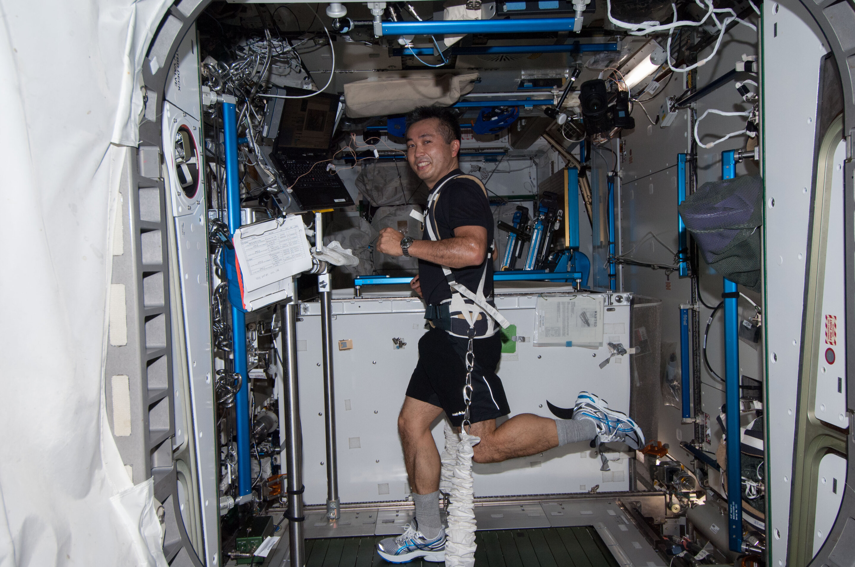 Heart tests suggest astronauts could tolerate Mars' gravity after months in space