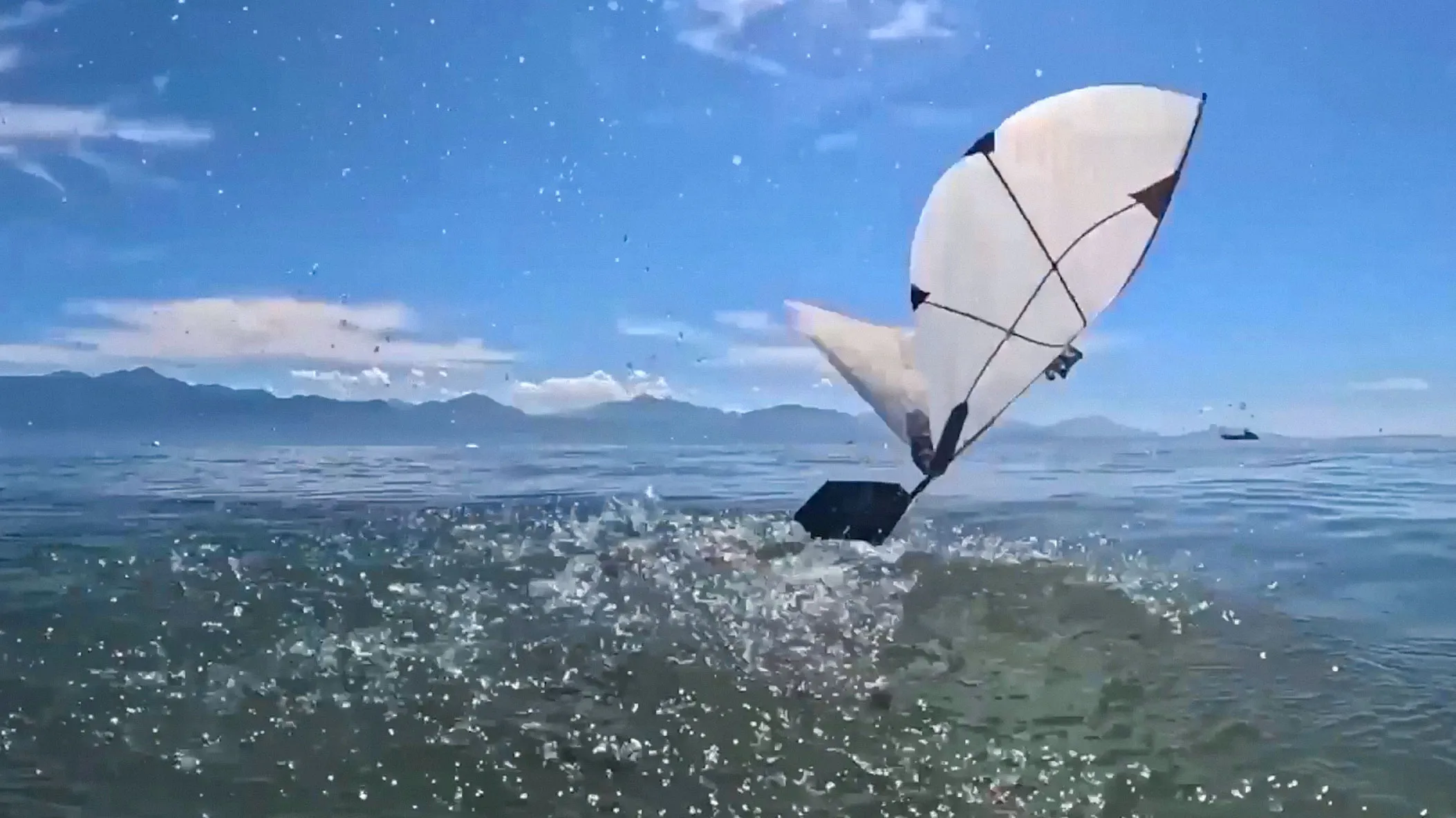 It’s a bird, it’s a plane … it’s a robo-puffin?