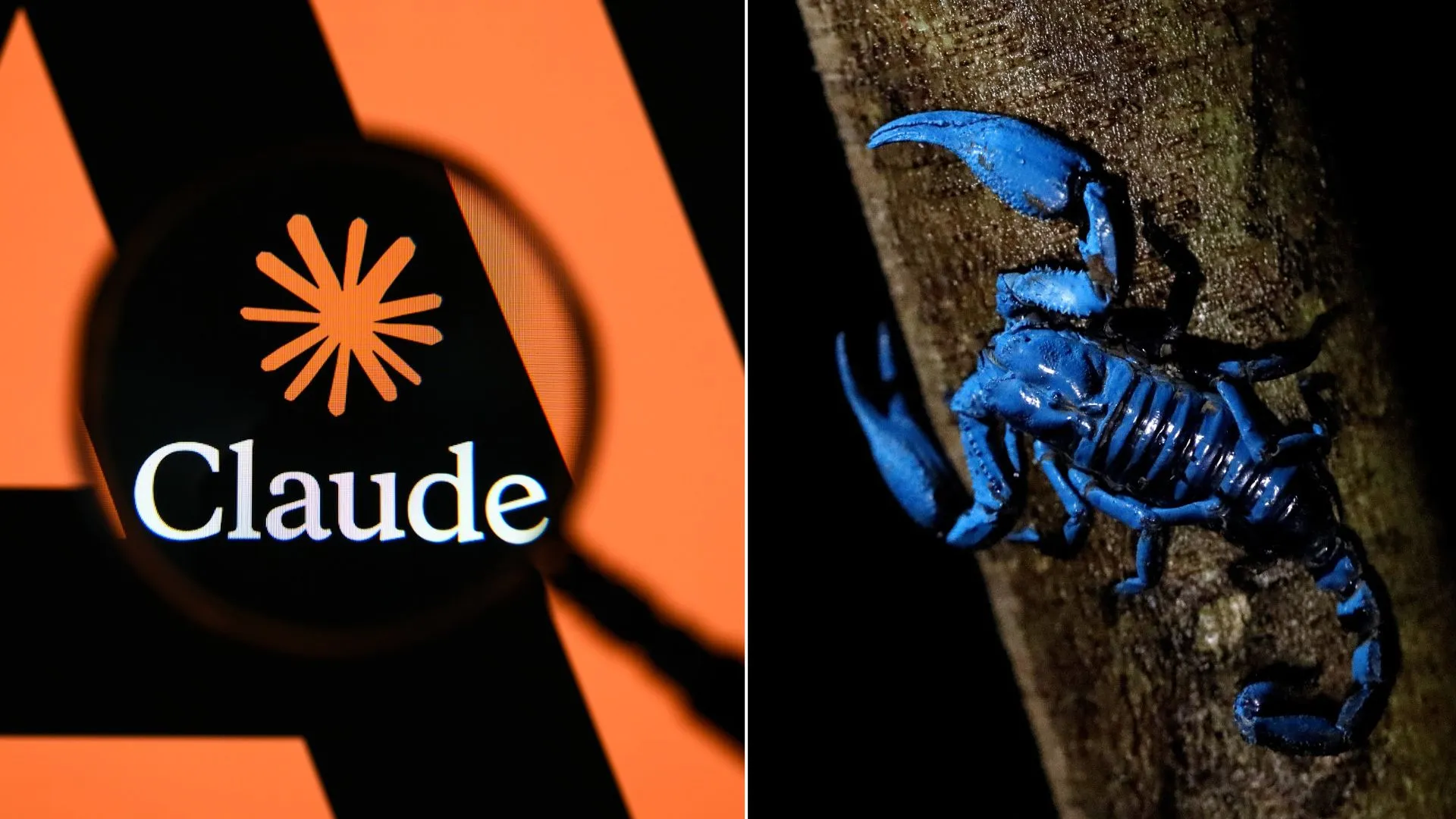 Claude takes aim at deadly scorpion venom, designs 318,484 proteins in just 64 hours