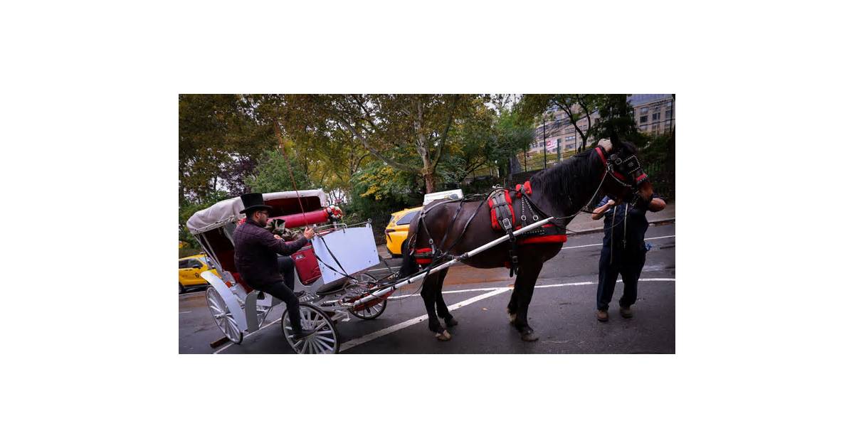 After generations in Central Park, horse-drawn carriages face a ban