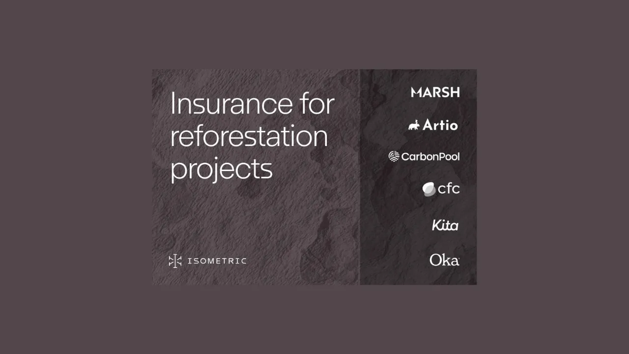 Isometric Opens Carbon Reversal Insurance To Certified Reforestation Projects