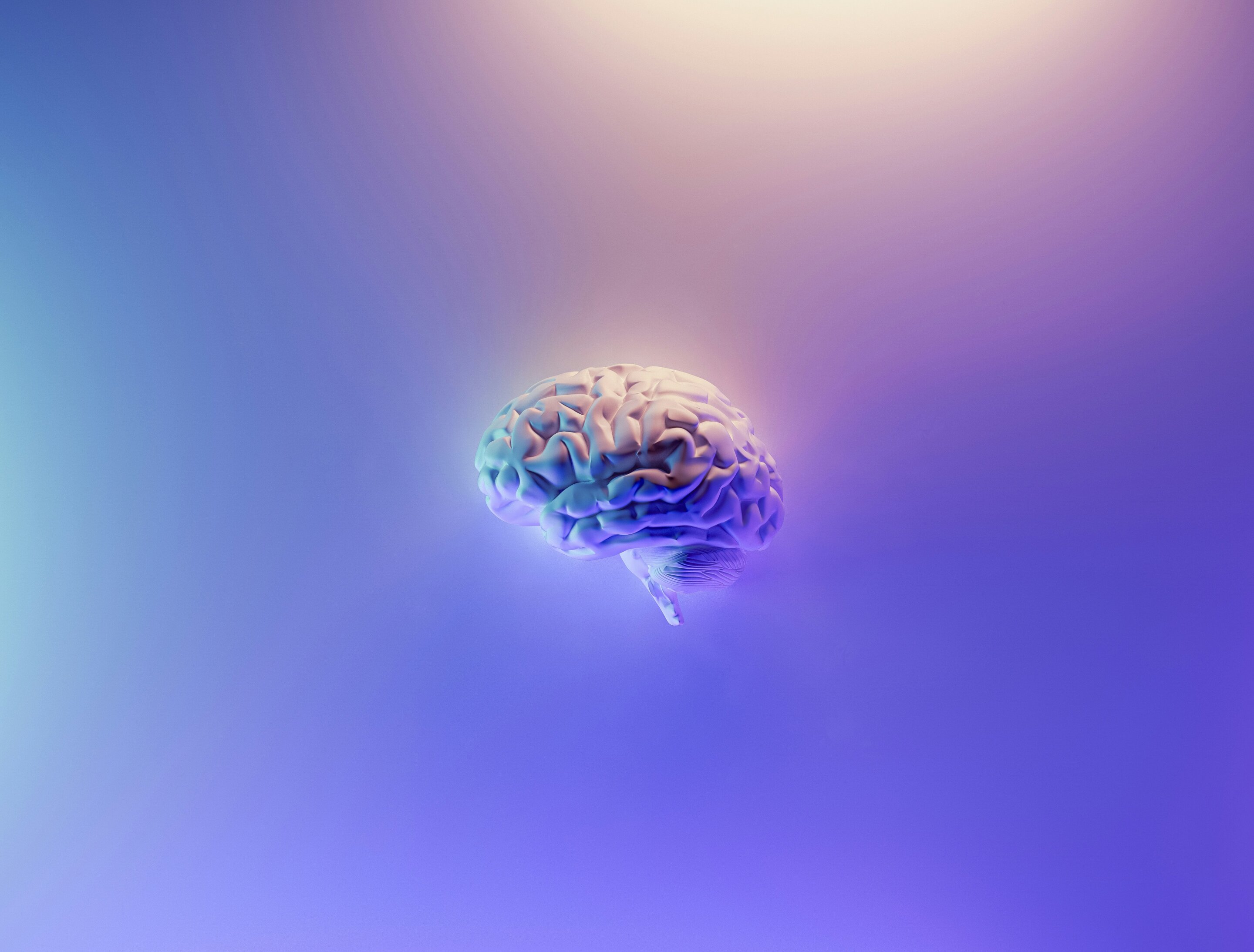 What does a healthy brain look like? It depends on the company you keep