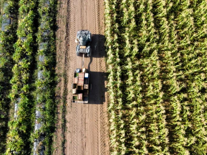 Carbon180 Presents New Roadmap For Scaling Removals On Agricultural Land In The U.S.
