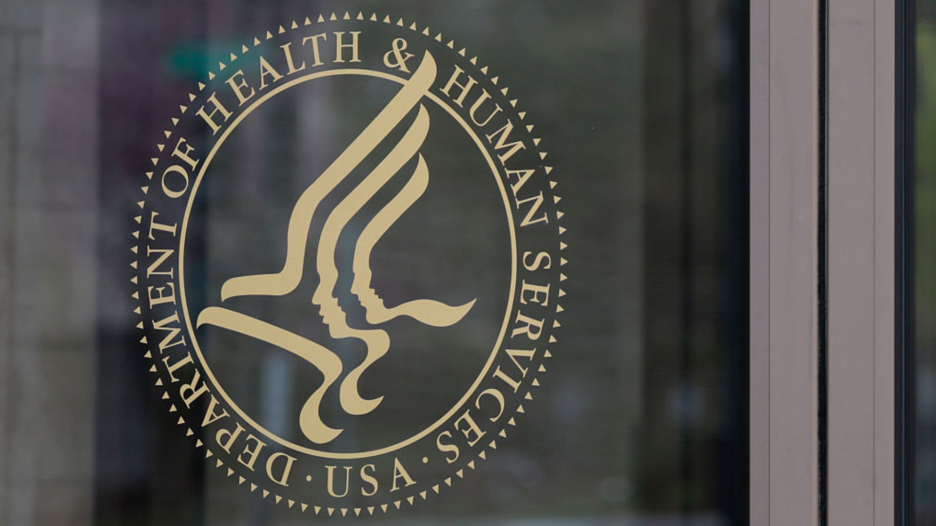 HHS launches national kidney care plan focused on disease prevention, dialysis care and reforming the transplant system