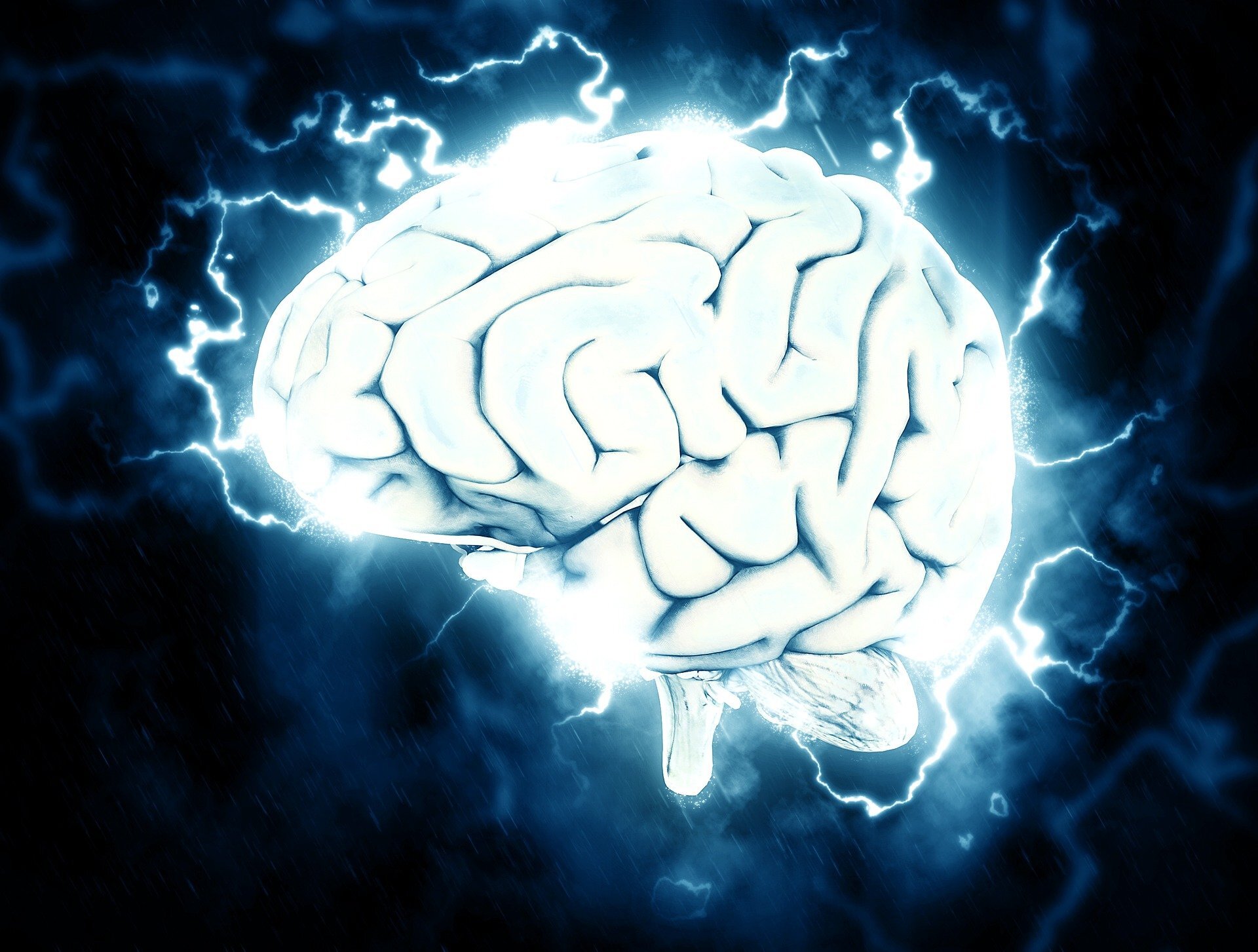 Experimental treatment selectively reduces harmful protein in lab models of rare inherited brain disorder