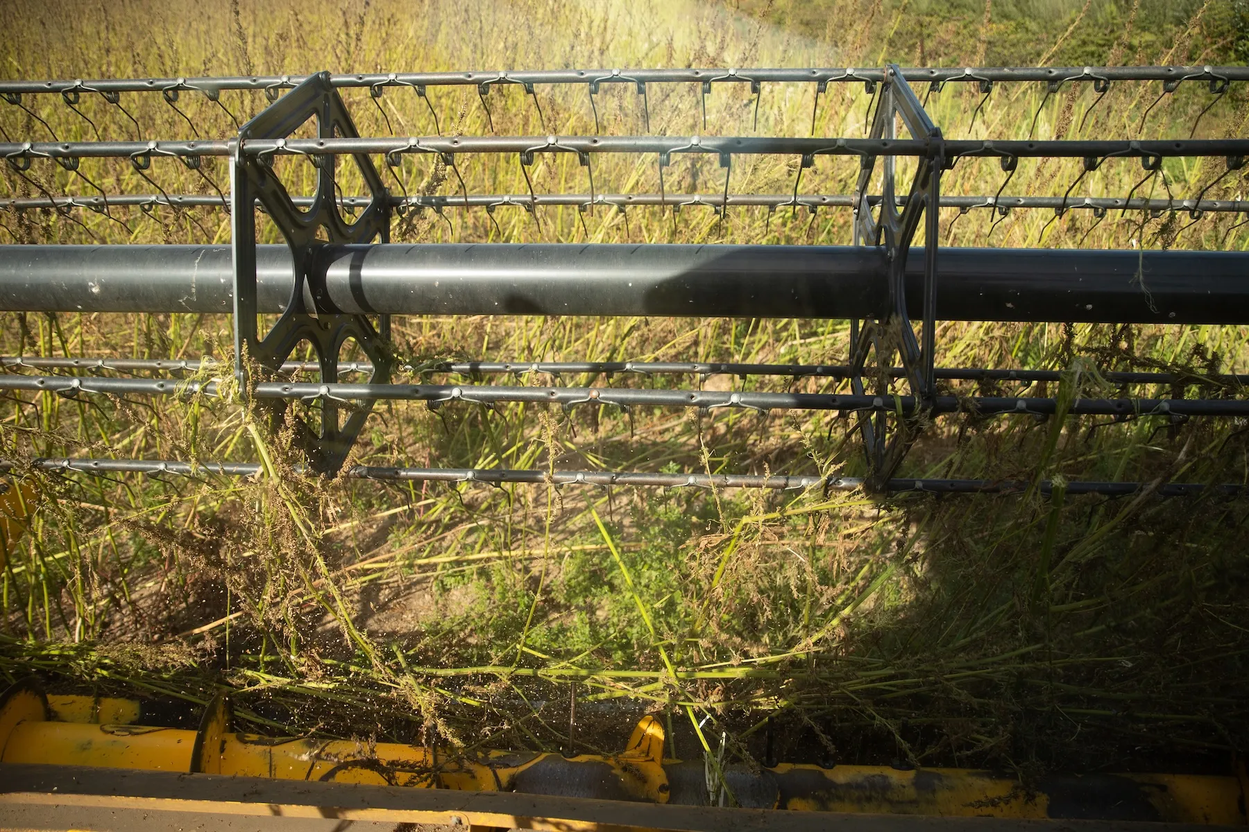 Renaissance Fiber Secures $2.4M for US Hemp Processing Plant