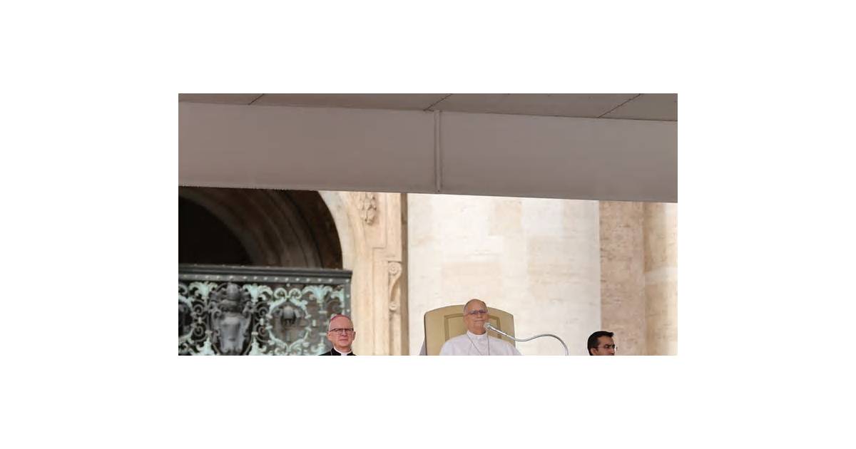 Pope Leo will not need further cancer treatment, doctors say