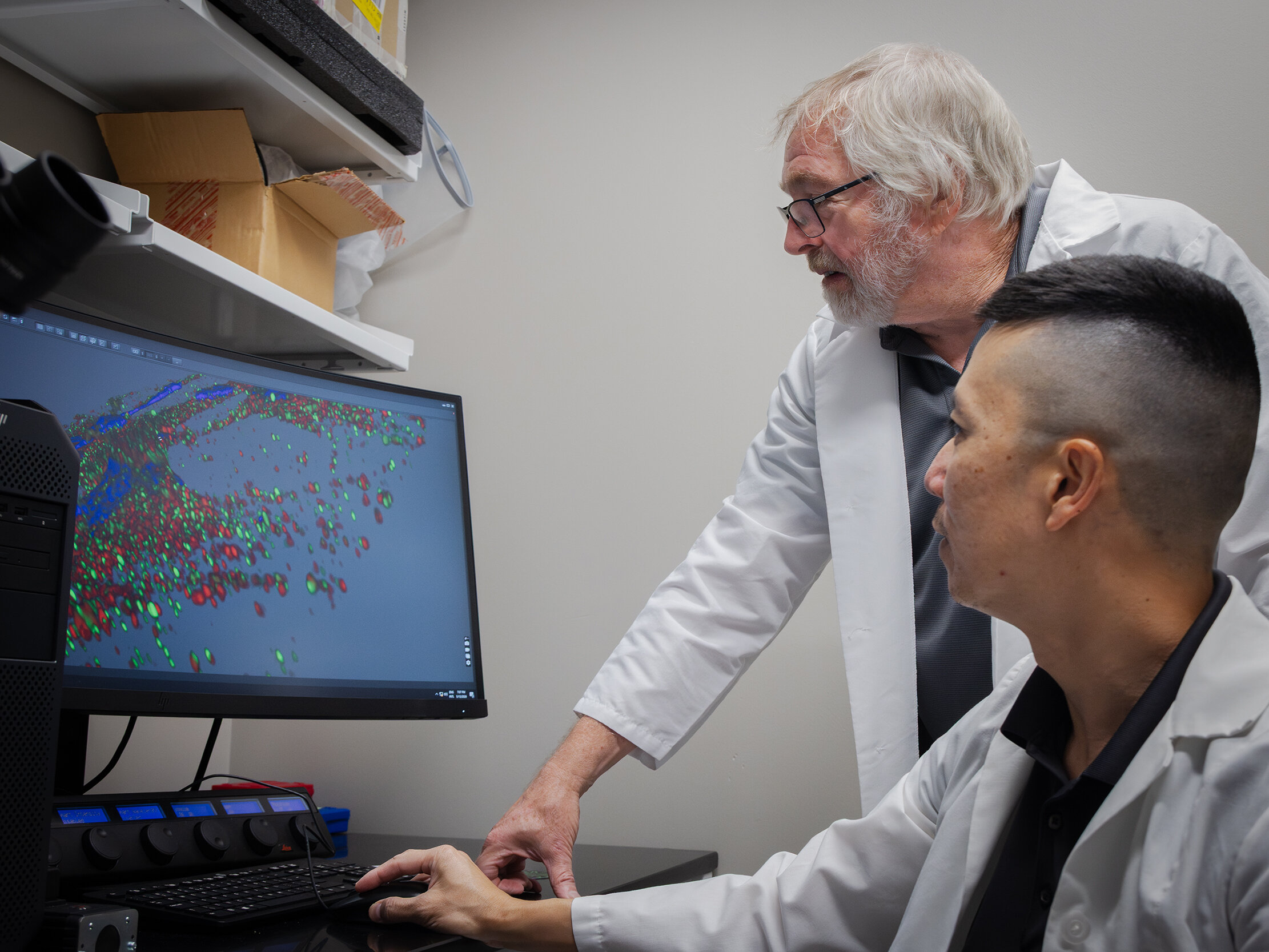 Pancreatic cancer study highlights body's natural molecules as potential treatment tools