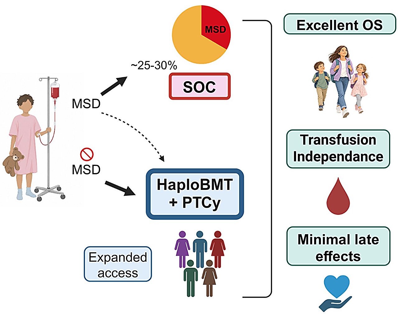 Half-matched bone marrow transplant expands options for children with severe aplastic anemia