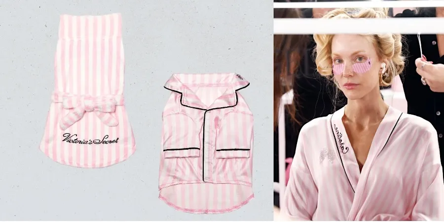 Wings and Wags: Victoria’s Secret Drops Fashion Show–Inspired Collection for Pets