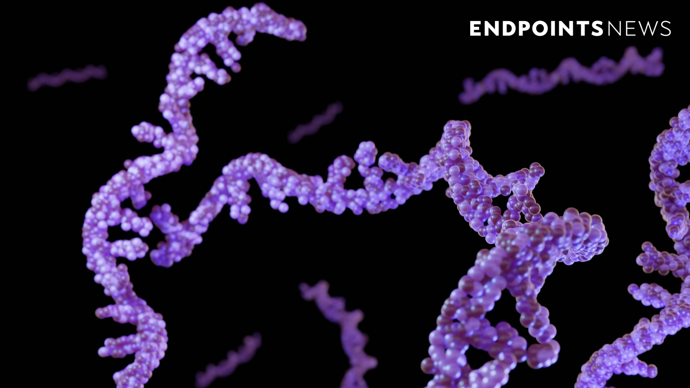 China biotech RiboX reveals first data of circular RNA therapies in people