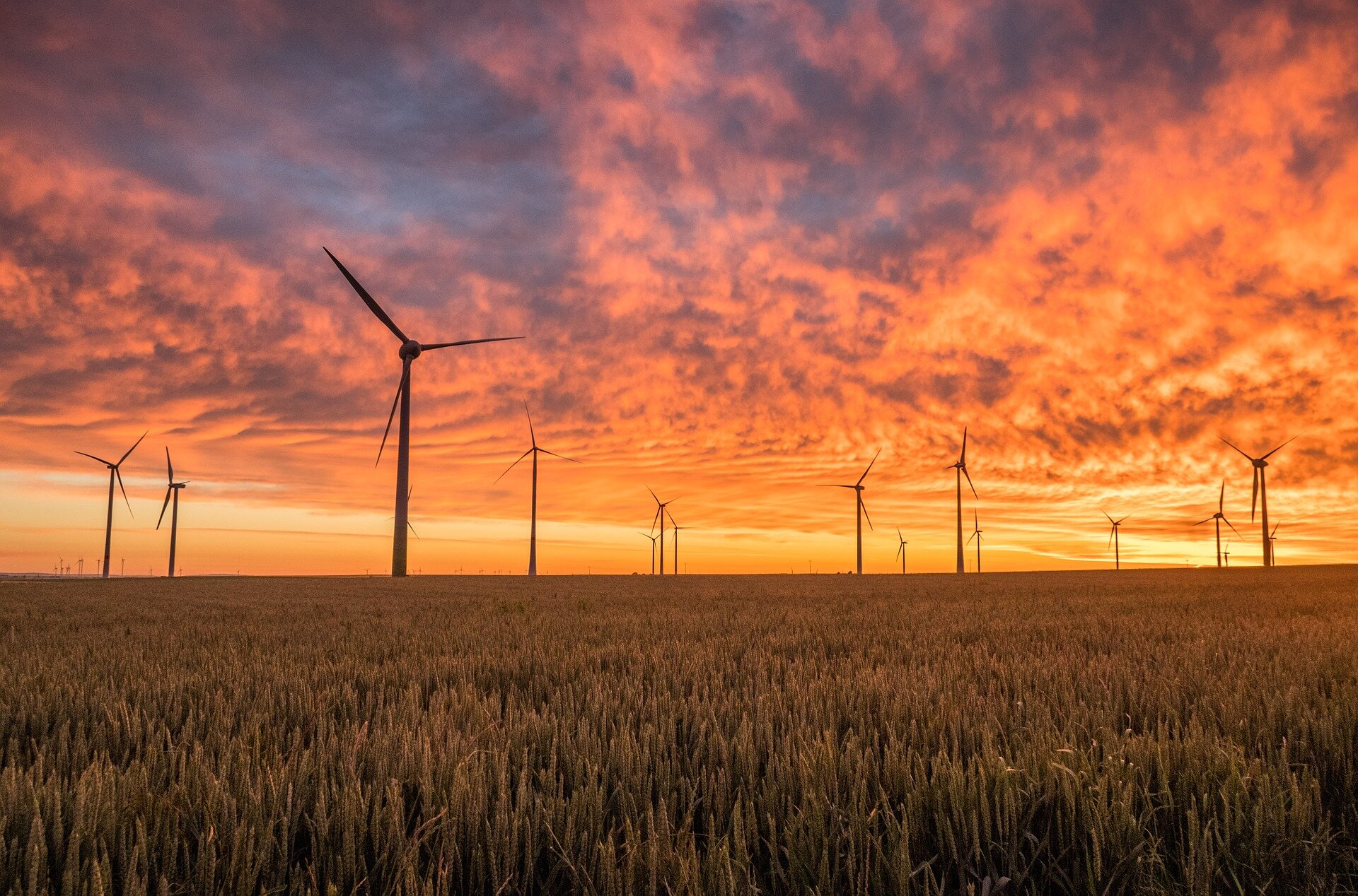 Use green transition funds to achieve health for all, suggest experts