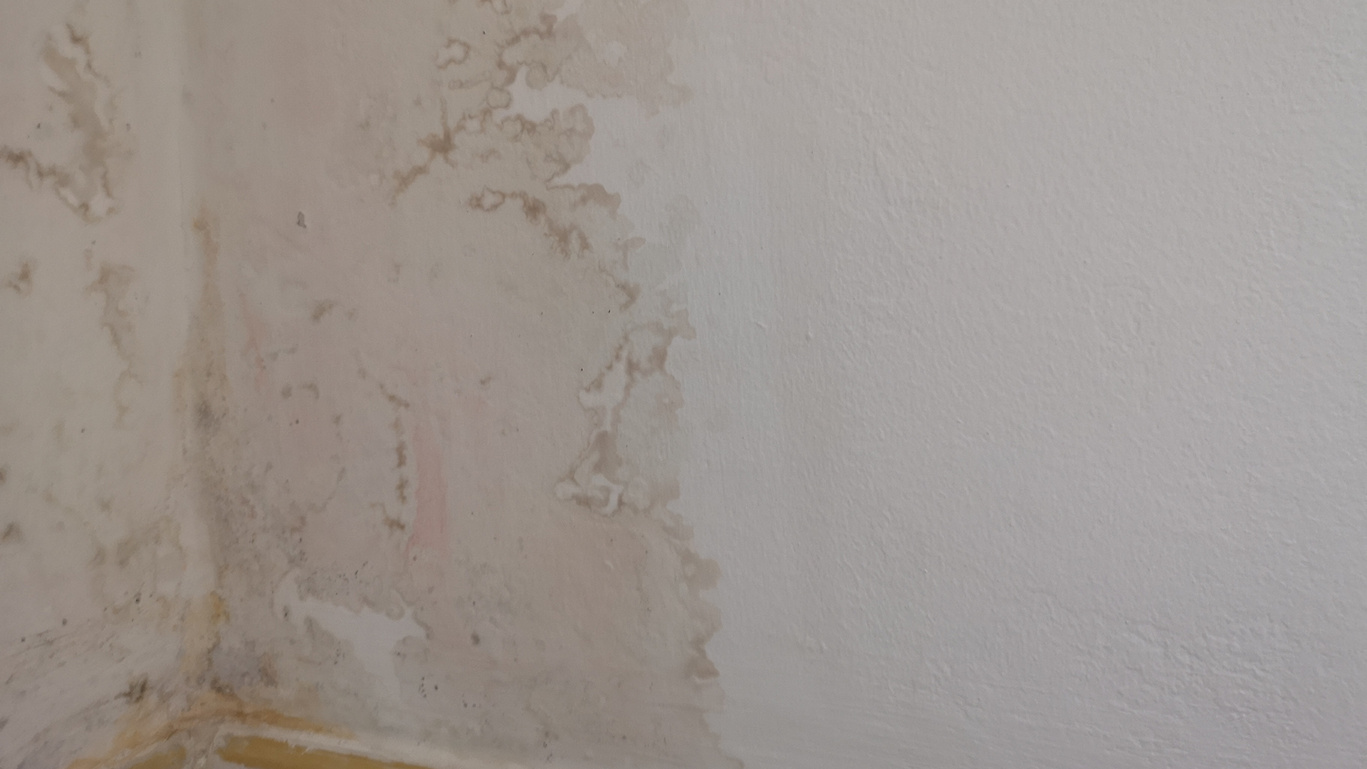 I finally discovered the mystery damp and mold in my home was coming from my neighbor: Here’s what every homeowner needs to check