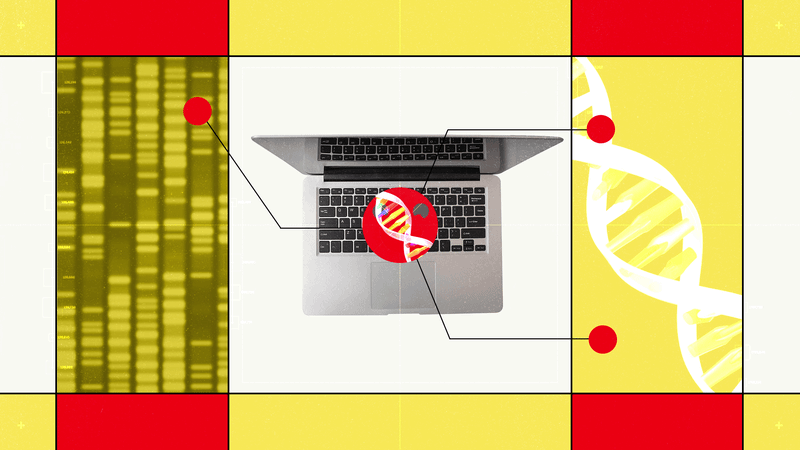 Hugging Face’s New AI Biology Model Lets You Chat With DNA