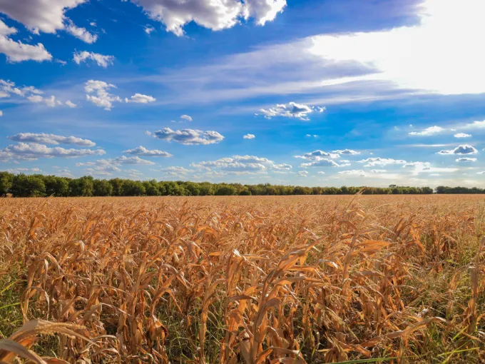 Applied Carbon Locks In $72M Citi Financing For Texas-Based Biochar