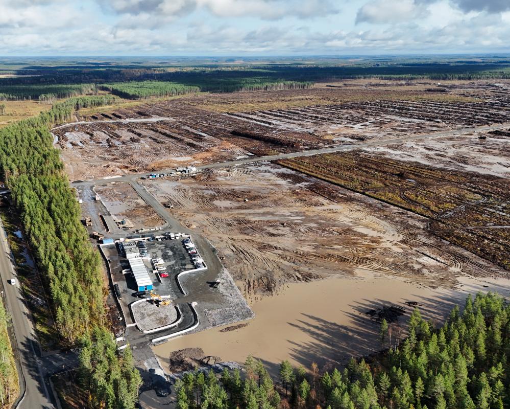 ‘Pure arrogance’: anger in Finland as Google illegally fells 250,000 trees for datacentre
