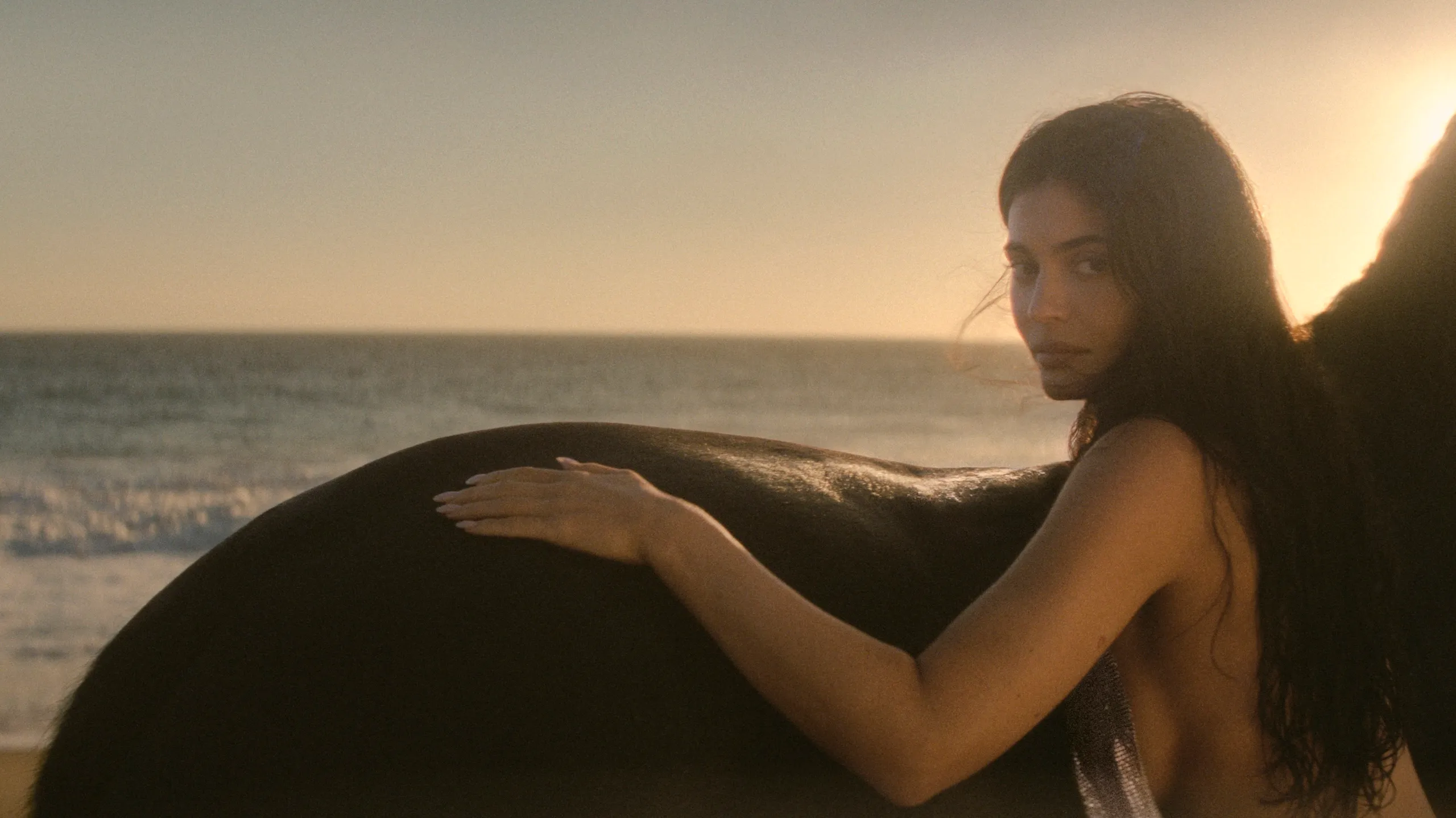 Stella McCartney Taps Kylie Jenner, Gia Coppola for Short Film, ‘Wild Horses,’ Focused on Animals, Nature