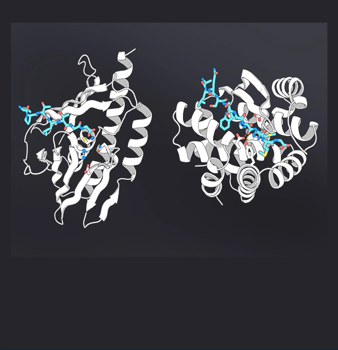 This AI Model Designs Enzymes With Atomic Precision