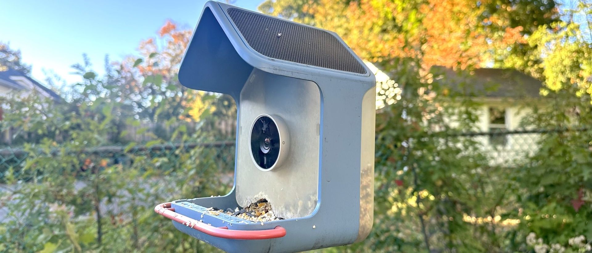 I’ve been using the BirdBuddy Home for nearly a year — 3 things I love about this smart bird feeder, and 2 I don’t