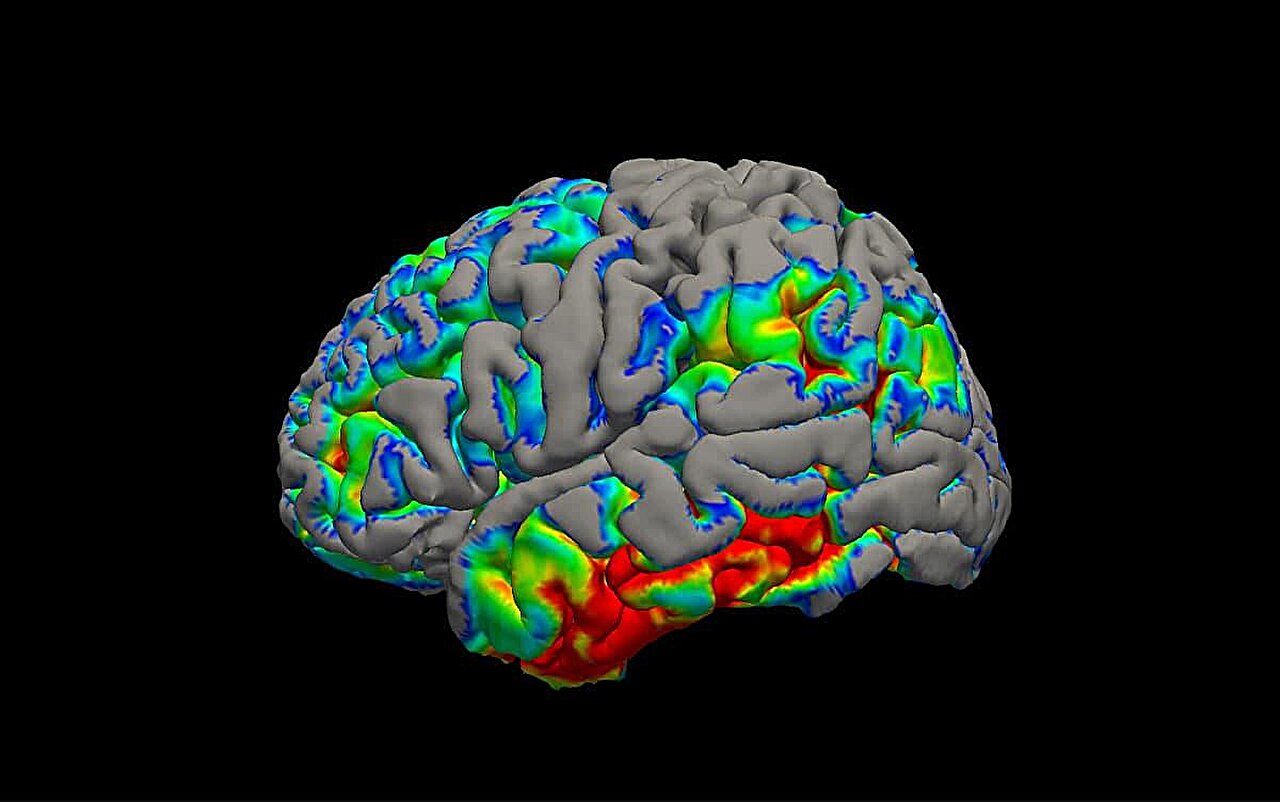 Open-source software standardizes tau PET image analysis for neurodegenerative disease research