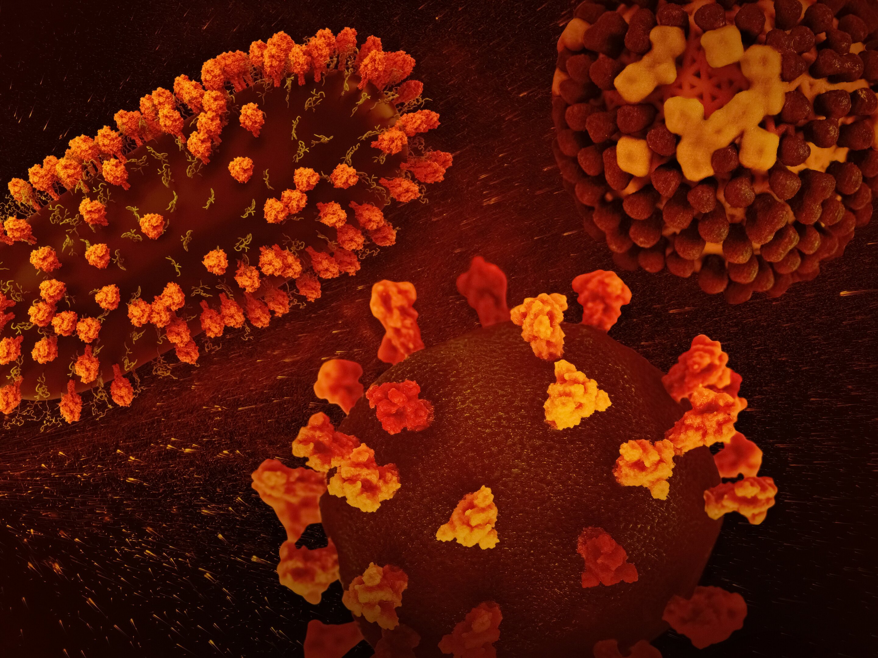 France reports first human Shamonda virus case, says no health risk